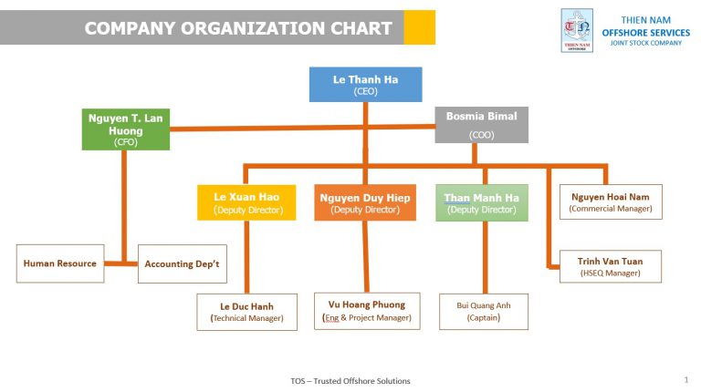 Company Organization Chart – Thien Nam Offshore JSC (TOS)
